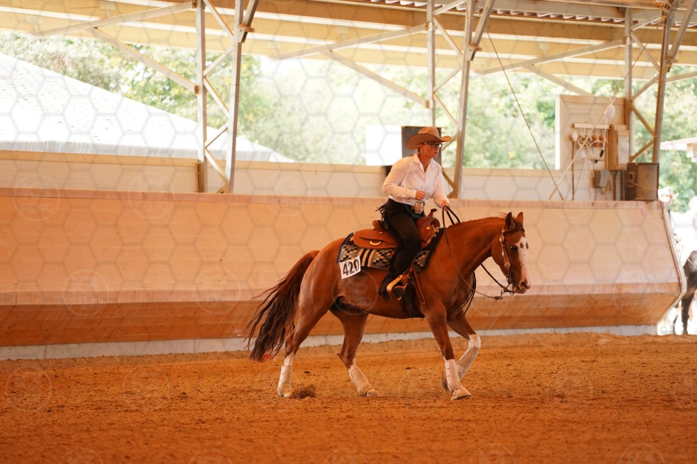 s_A_909316.JPG